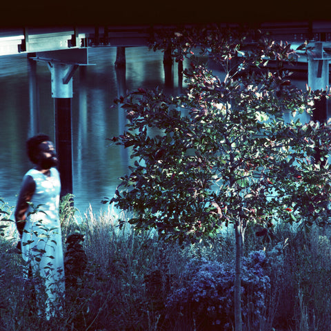 Jjjjjerome Ellis - Vesper Sparrow [LP]