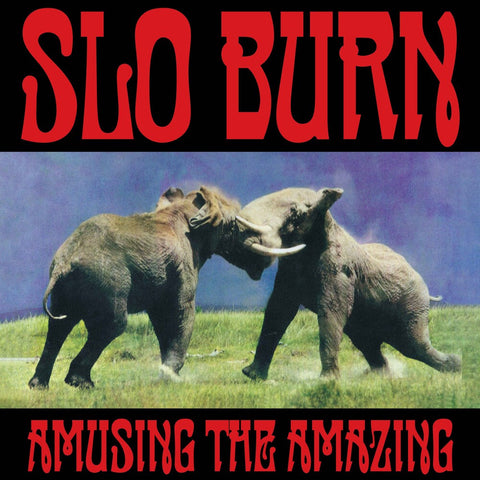 Slo Burn - Amusing The Amazing [RSD]