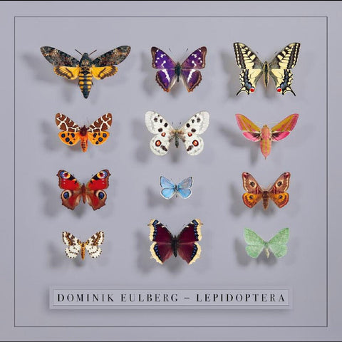 Dominik Eulberg - Lepidoptera [LP]