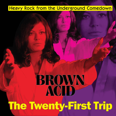 Various Artists - Brown Acid - The Twenty-First Trip [LP]
