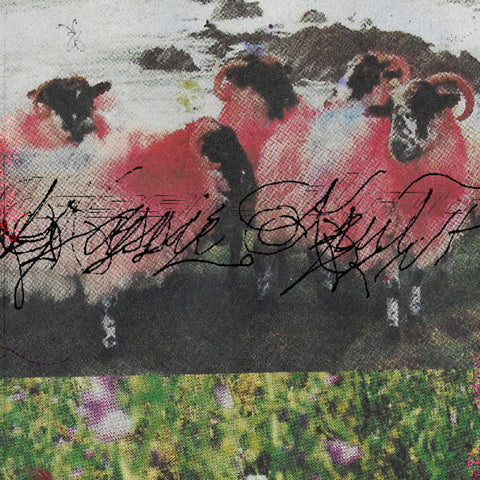 Kassie Krut - Kassie Krut [LP]