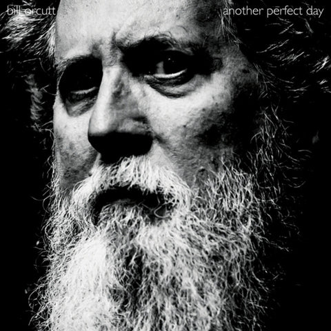 Bill Orcutt - Another Perfect Day [LP]