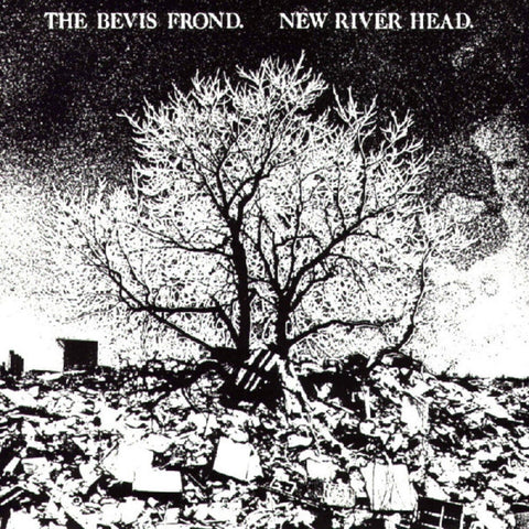 Bevis Frond - New River Head [LP]