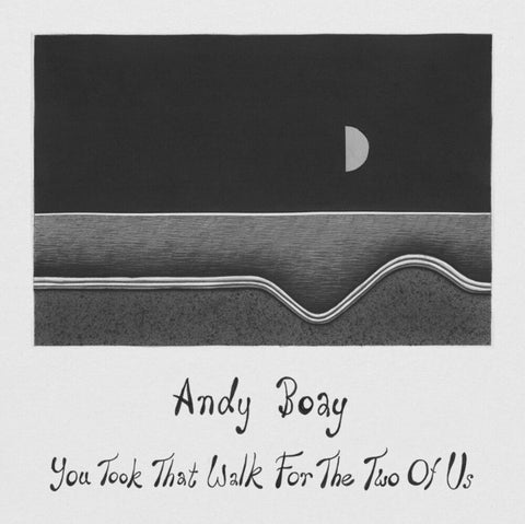 Andy Boay - You Took That Walk For The Two Of Us [LP]