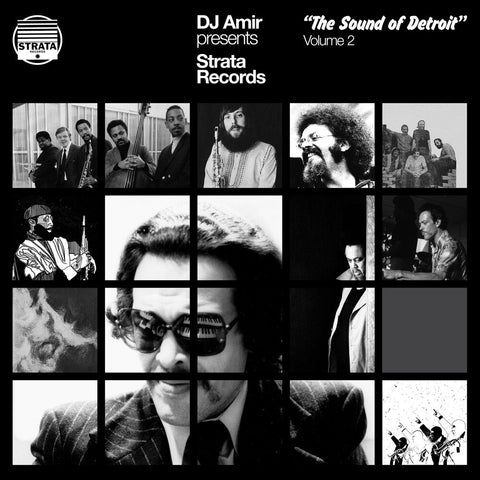 Dj Amir - Dj Amir Presents Strata Records: Sound Of Detroit [LP]