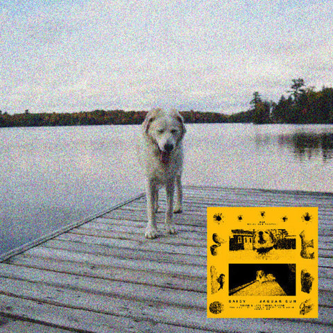 Jaguar Sun - Daisy (Blk) [Colored Vinyl] (Ylw)