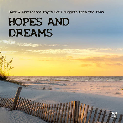 Various Artists - Hopes & Dreams: Rare & Unreleased Psych-Soul [LP]