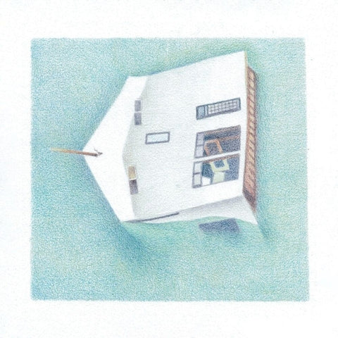 Danny Lane  Scott - House Of Alice [LP]