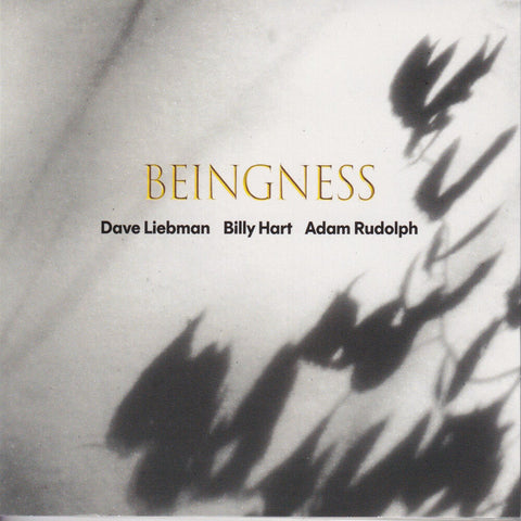 Dave Leibman  / Hart,Billy / Rudolph,Adam - Beingness [Colored Vinyl] [Limited Edition] [180 Gram]