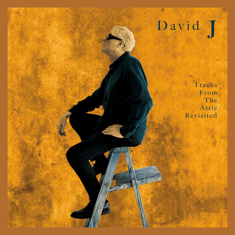 David J - Tracks From The Attic Revisited [Colored Vinyl] (Gol)