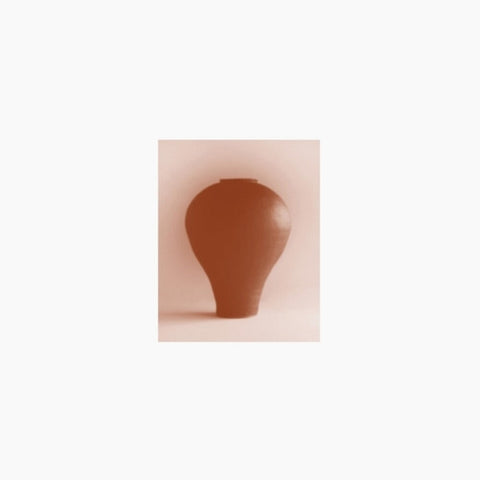Beatriz Ferreyra - Distracted Godc [LP]