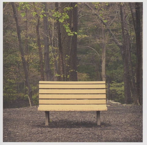 Streetlight Manifesto - Hands That Thieve [Colored Vinyl] [Reissue]