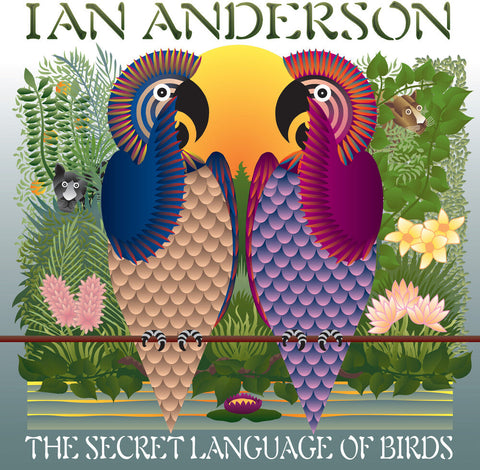 Ian Anderson - Secret Language Of Birds [LP]