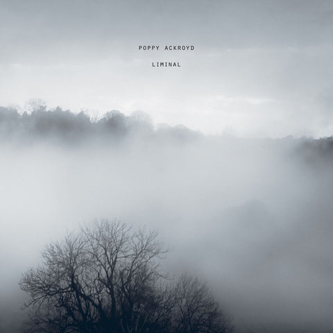 Poppy Ackroyd - Liminal [LP]