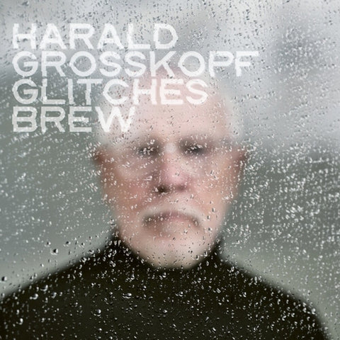 Harald Grosskopf - Glitches Brew [LP]