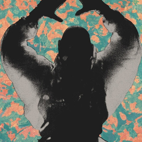 Startled Insects - Antenna Years [LP]