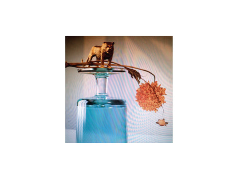 Beirut - Gallipoli (Limited Edition Turquoise Colored Vinyl, Indie Exclusive)