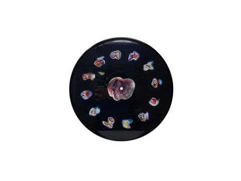Bjork - Cosmogony (Limited Edition Picture Disc Vinyl)