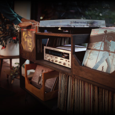 The Deluxe Vinyl Record Storage – WickerWoodWorks