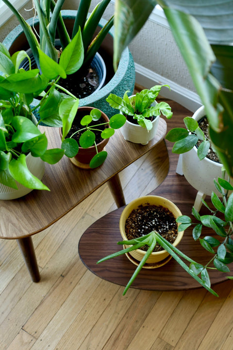 turntablestations - wickerwoodworks