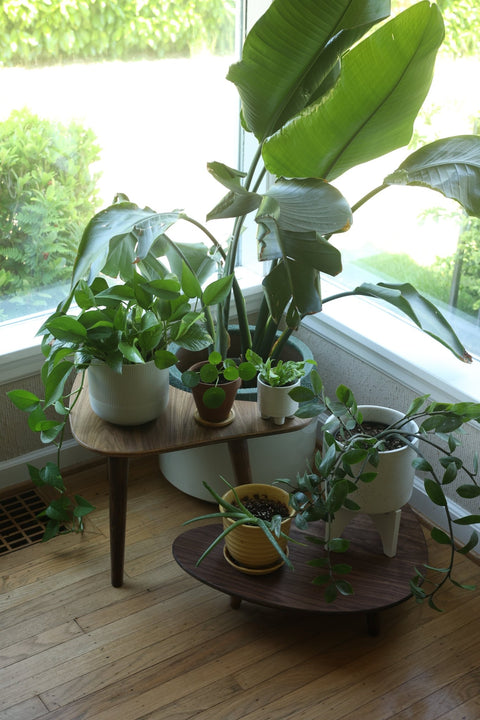 turntablestations - wickerwoodworks