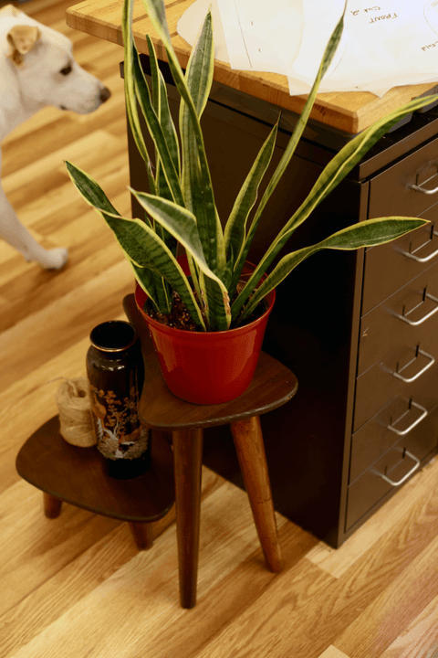 turntablestations - wickerwoodworks